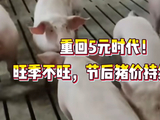 重回5元时代！旺季不旺，节后猪价持续走弱！