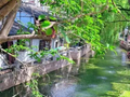 青浦：一路有景，共赏秋日水岸风光