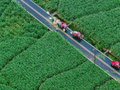 国庆去哪玩？相约缙云前路，打卡古村抱走鲜甜茭白