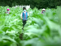 【奋进宁蒗】云南省烟草专卖局山海同心践初心 真情帮扶助脱贫