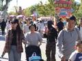 雄安郊野公园文旅融合点燃国庆假日消费热潮