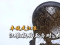 丰收走江淮 | 江淮秋收正当时 农旅融合助增收