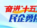开拓进取、把握主动 我国民营经济韧性与活力持续彰显