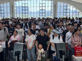 两天超4万！苍南站迎来客流高峰！