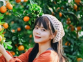 摘不完！根本摘不完