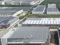 重点项目最新进展来了！