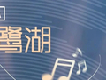 国庆假期尾声，去鹭湖夜叙｜10月6日“箐里有约・晚叙鹭湖”邀你续约