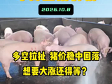 多空拉扯！猪价稳中回落，想要大涨还得等？