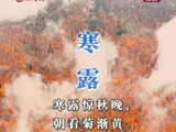 【节气里的大美中国】寒露：露寒秋意重 添衣念君安