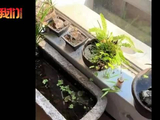 浙江嘉兴一居民家玻璃突现贯穿小孔，疑遭弹弓或气枪射击，警方立案