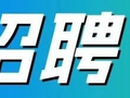 公开招聘！又一波岗位来了