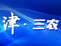 樊村：多点推进提质改造 乡村面貌提档升级