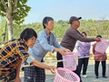 迁安：趣味晒秋丰收乐 农事比拼邻里亲
