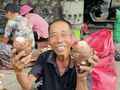 旧州冷泉芋头喜获丰收  雅蔡文明集市热闹开市