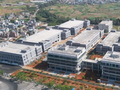 一粒咖啡的“链式效应”——个旧市以商招商串起农产品深加工产业集群
