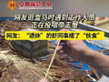 视频 | 网友逛盒马时遇到工作人员正在投喂帝王蟹 网友:“退休”的虾同事成了“伙食”