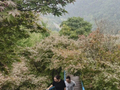 徒步登高赏秋色，柒月麓山迎客来