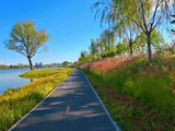 视频｜坝河秋日骑行，邂逅水天相映的城市风光