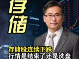 存储股连续下跌，行情是结束了还是洗盘？ #存储芯片 #股市