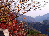 视频｜八达岭，长城内外秋色尽染