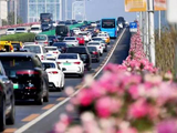 视频｜国贸桥再现“空中花廊”