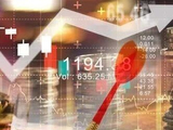 私募瞭望站｜科技股急跌，私募净值承压！新发行降温，量化褪去光环