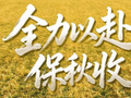 泗洪公布111处烘干场所，阴雨秋收有保障→