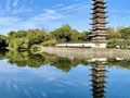 重阳佳节至，松江这些景点限时推出免票、优惠福利！