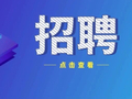 招聘206人！这场专场招聘会来了