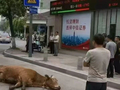 【情绪跟踪及周报】牛将嘎未嘎了？（10/18）