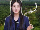 如何分辨棕榈油多空消息？