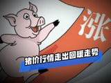供需边际改善，猪价微涨！这波反弹能走多远？