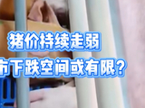 猪价持续走弱，后市下跌空间或有限？
