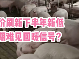 猪价刷新下半年新低，短期难见回暖信号？