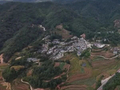 一亩稳收上万元！龙陵山村藏着致富密码