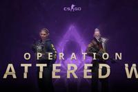 粉丝过年 V社今日公布《CS:GO》全新大行动