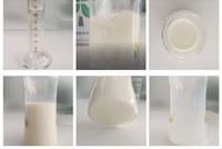 实测揭秘：有机奶粉是噱头吗？