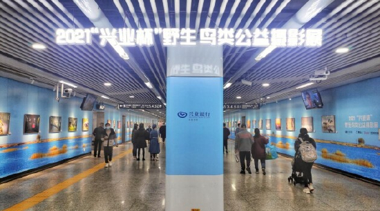 在长沙高铁站举办“兴业杯”野生鸟类公益摄影展
