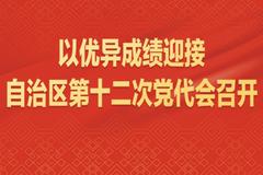 凝心聚力建设新时代中国特色社会主义壮美广西—热烈祝贺自治区第十二次党代会胜利召开