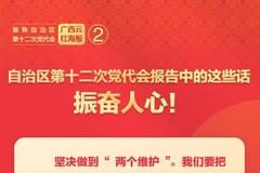 广西云红海报②｜自治区第十二次党代会报告中的这些话振奋人心