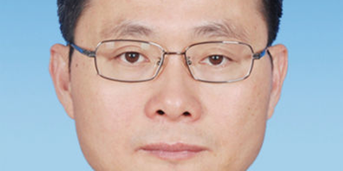 蓝佛安个人简历