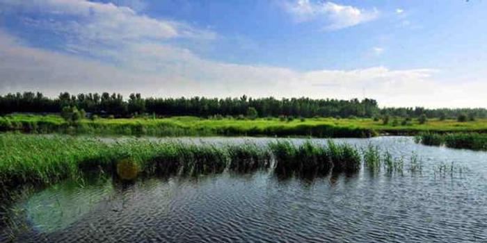 黄河国家湿地公园面积图片