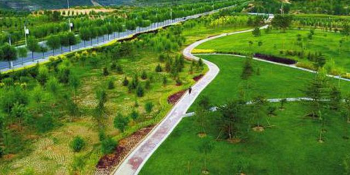 河南加速森林城市建设 2022年省级数量达40个