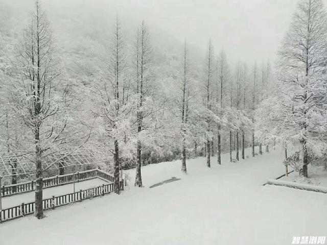 长沙雪舞，冬日浪漫的诗意篇章