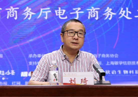 湖南省商务厅电子商务处二级调研员刘琦发表讲话