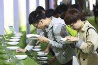 茶博会成交额达3亿余元