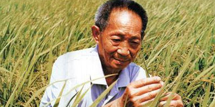 袁隆平院士获"纪念麦哲伦海峡500周年奖"