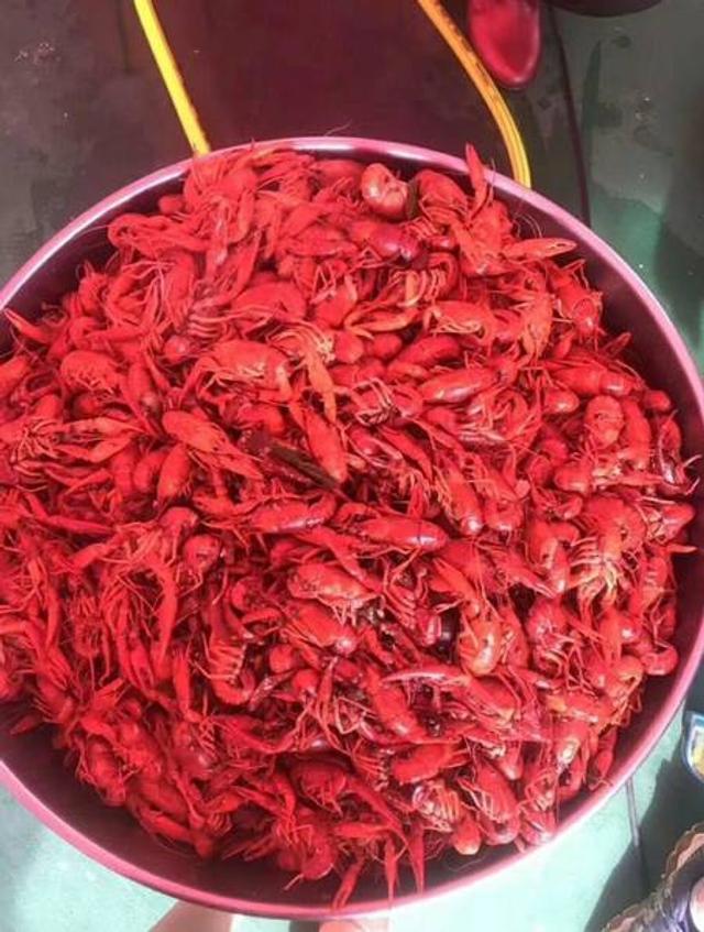 光泽县有多少人口_光泽县老照片(2)