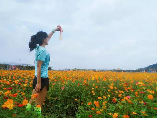 去年越马的终点花海▲