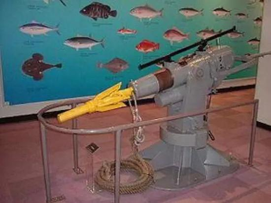 （图为捕鲸炮模型）